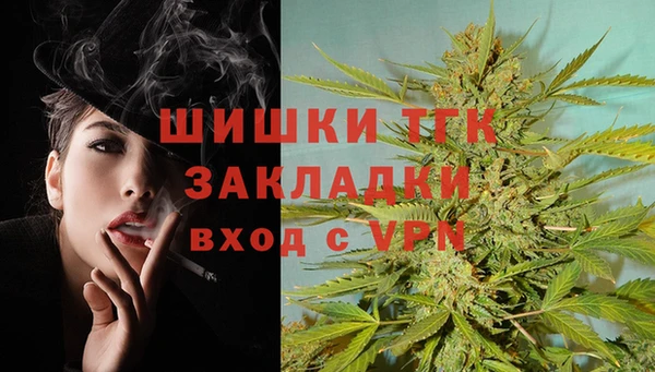 молекула духа Кулебаки