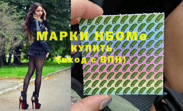 молекула духа Кулебаки