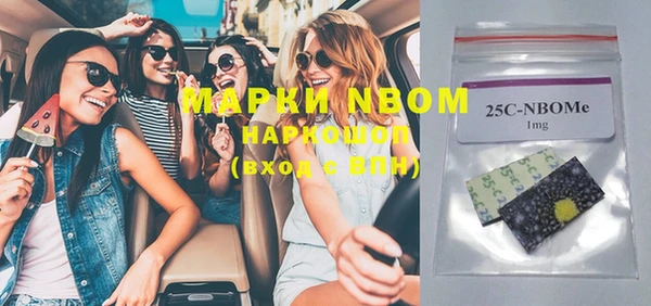 молекула духа Кулебаки