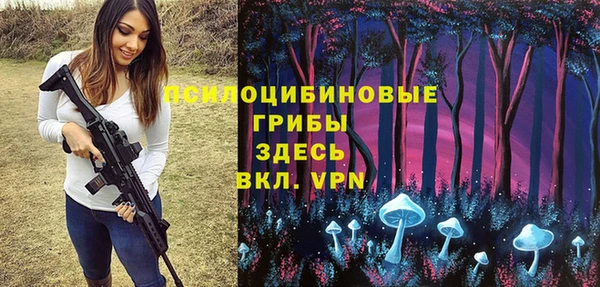дживик Ладушкин