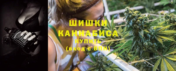 дживик Ладушкин