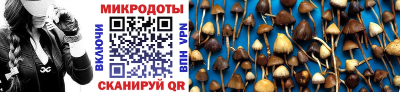 купить наркотики сайты  кракен   Галлюциногенные грибы Magic Shrooms  Тихвин 